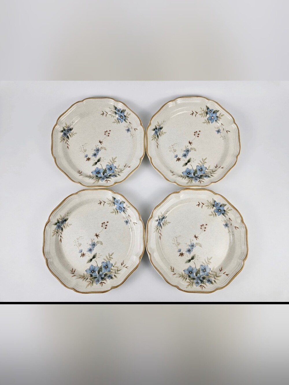 Mikasa Garden Club Day Dreams 10" Plates| Vintage | Set Of 4